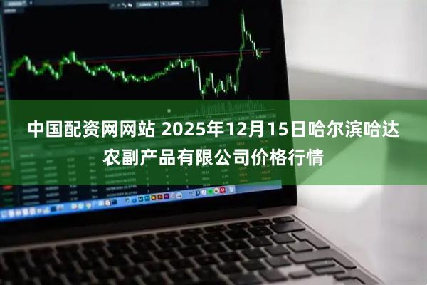 中国配资网网站 2025年12月15日哈尔滨哈达农副产品有限公司价格行情